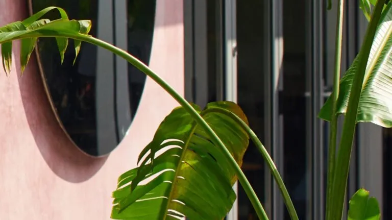 Green Cowork space
