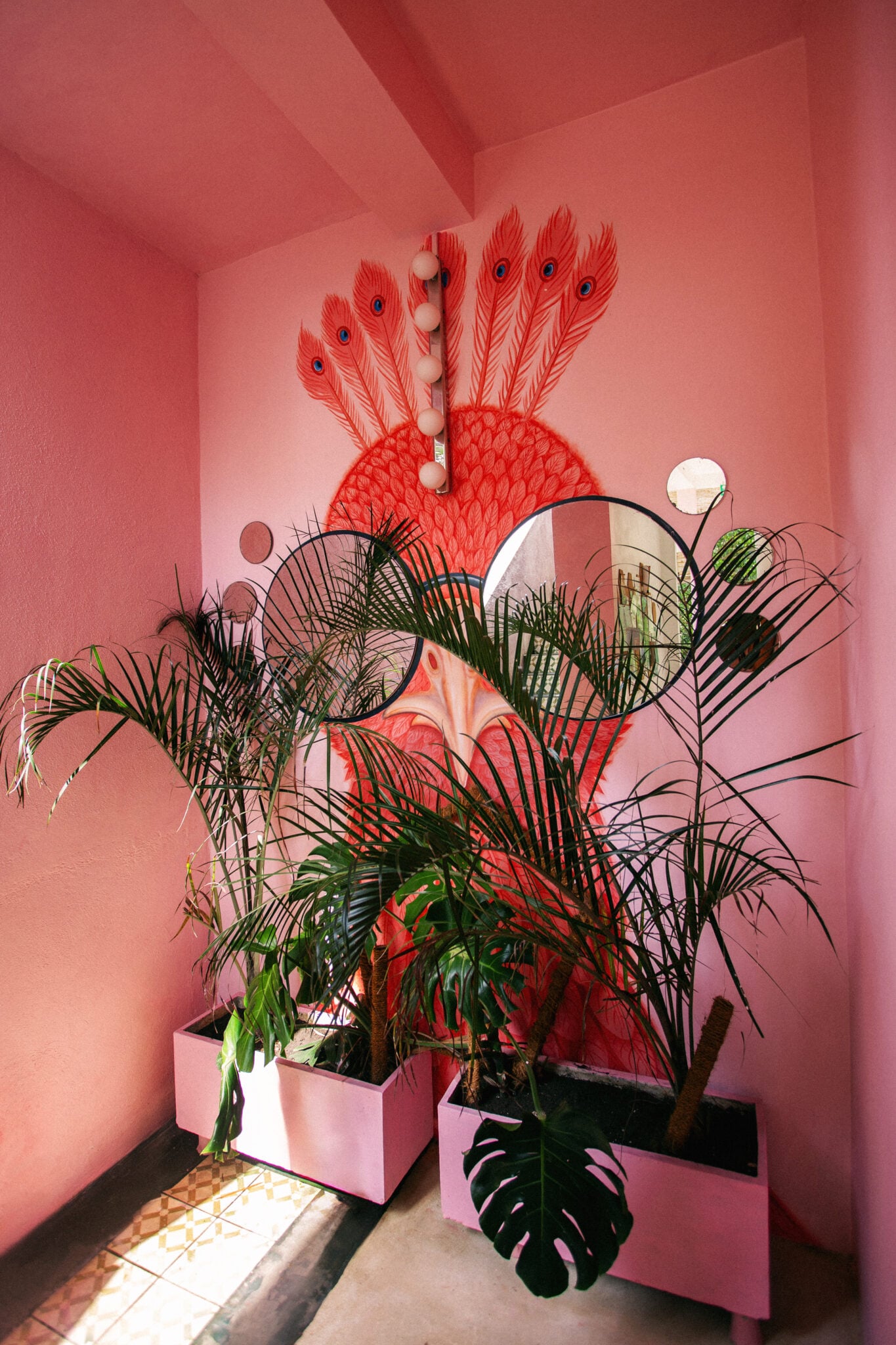 nets-peacock-wallart-ahangama